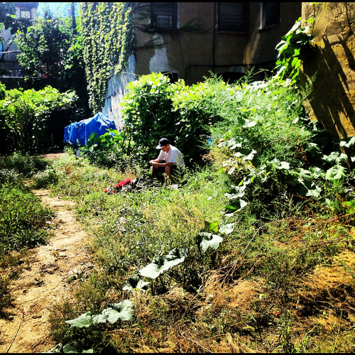 tumblr_mbtor7xVsL1r9vmxoo1_500